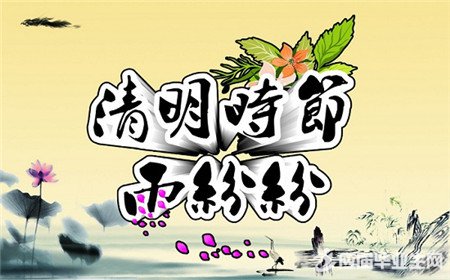 清明节英语日记100字