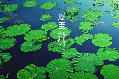 关于夏至的祝福语