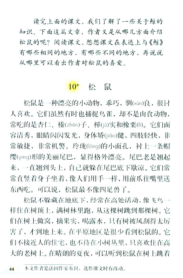 人教版五年级语文上册松鼠