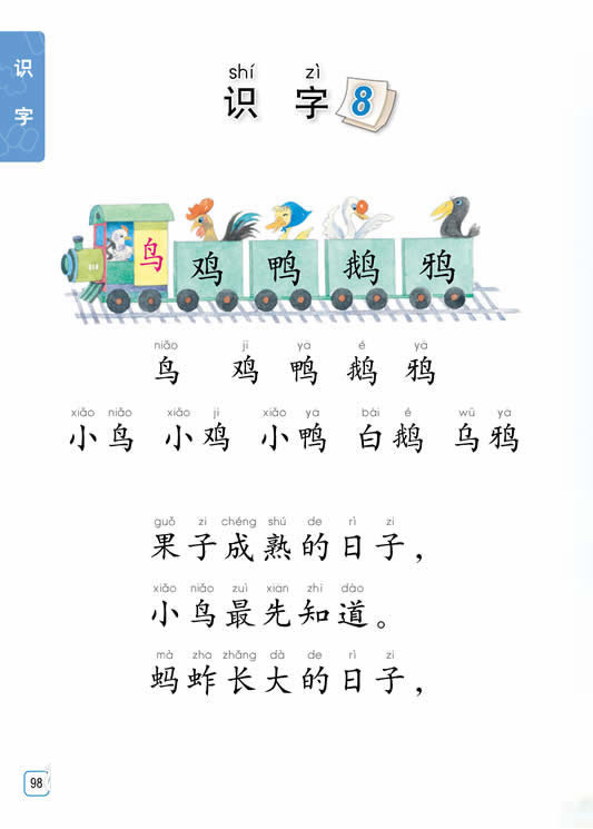 识字8 鸟 鸡鸭鹅鸭